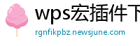 wps宏插件下载官方网站